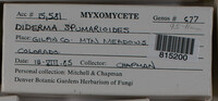 Image Associated With the Occurence